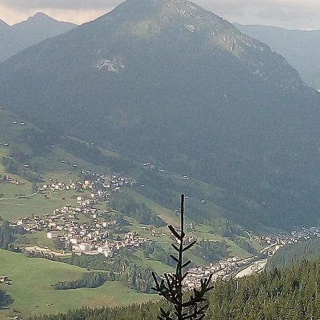 B&B Il Tulipano San Pietro di Cadore Extérieur photo