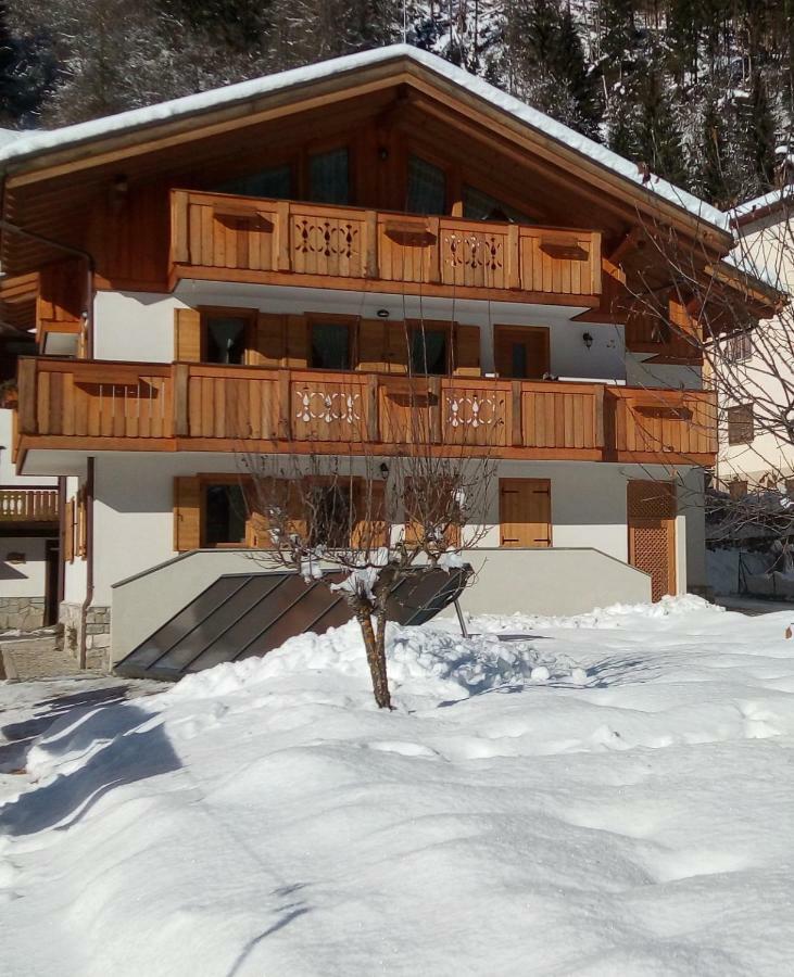 B&B Il Tulipano San Pietro di Cadore Extérieur photo