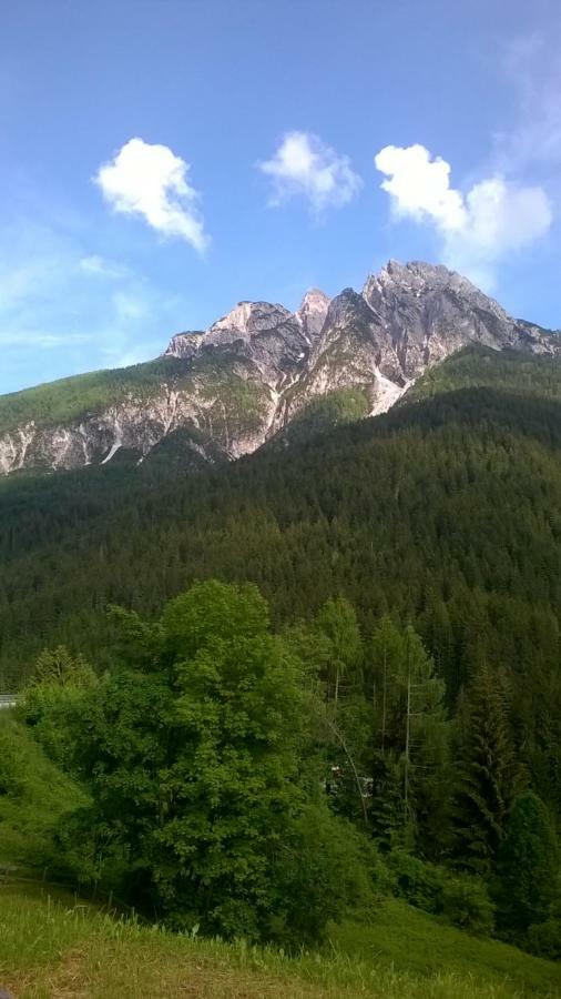 B&B Il Tulipano San Pietro di Cadore Extérieur photo